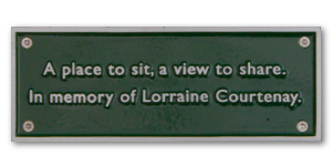 Cast Aluminium memorial plaque with green background