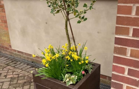Cube-Planter-Brown-with-tree Cube Planter Brown with tree