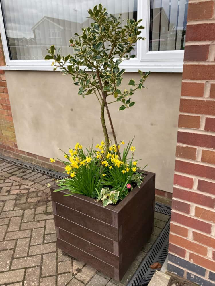Cube-Planter-Brown-with-tree Cube Planter Brown with tree