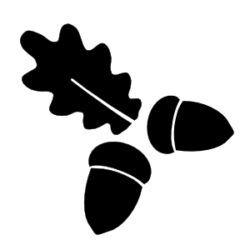 Acorns and oak leaf symbol in black on a white background