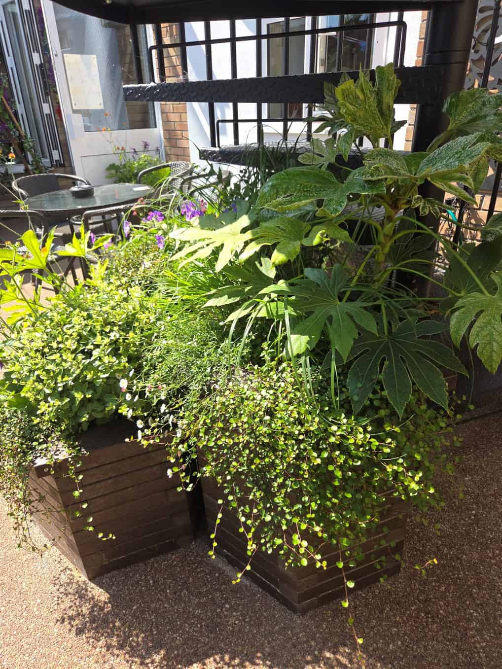 Phoenix Bar Planter Phoenix Bar Planter