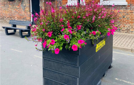Blockade planter with a taxi rank sign on it. It is filled with pink flowers.