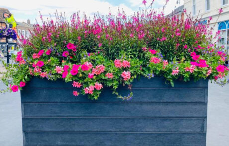 Recycled plastic blockade planter in a street setting. Full of pink flowers.