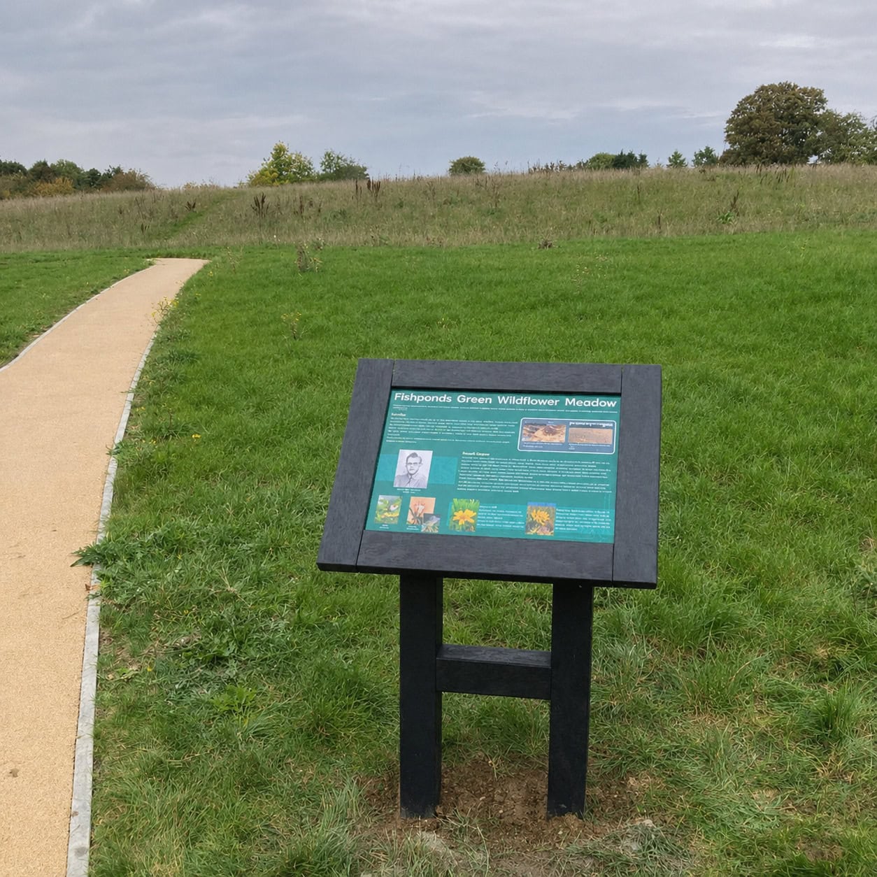 Recycled Plastic Outdoor Lectern In Open Space.