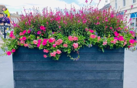 Recycled plastic blockade planter in a street setting. Full of pink flowers.