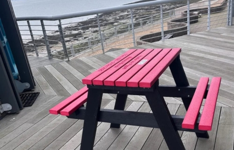 Red Recycled Plastic Picnic Table.