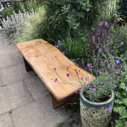 Rustic looking oak bench on paving slabs in a country garden setting