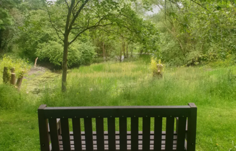 Recycled Plastic park bench in grassland setting